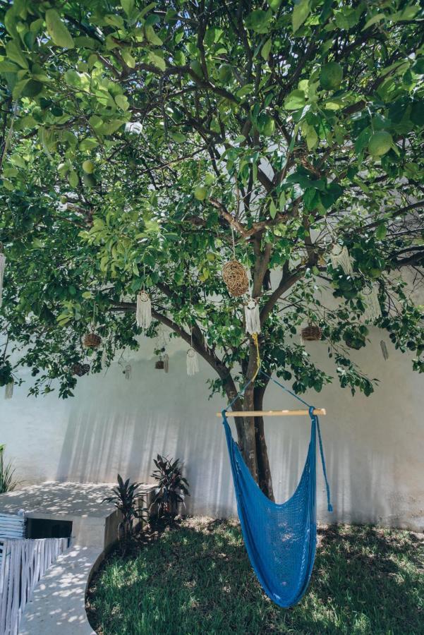 Villaboha Mérida Exteriér fotografie